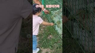 귀여운 토끼가족 #육아기록 #cute #아기 #baby #아기랑가볼만한곳 #35개월 #귀여운영상 #일상 #나들이 #힐링 #토끼 #브이로그 #ootd #아기패션 #토끼가족