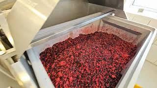 Berry purees production with ProFruit Machinery | Full berry processing line