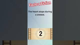 Everyone Gets This Wrong!  Fact or Fiction? #truthormyth #factorfiction