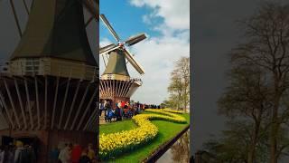 Things to do in Amsterdam 2024 