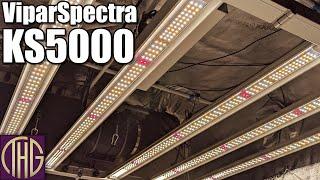 The Light Spread Is SO EVEN!! ViparSpectra KS5000 Unboxing With PAR Levels