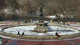 LIVE from New York. Central Park covered in snow ️️