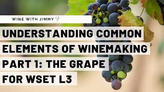 WSET Level 3 Wines - Understanding the Common Elements of Winemaking Part 1: The Grape