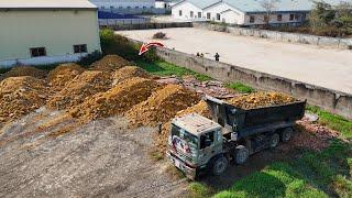 Awesome Dump Trucks Dumping Land & Excellent Skill KOMATSU Bulldozer Push Clear