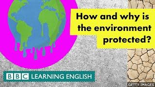 How and why is the environment protected? - BBC Learning English