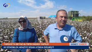 TARSUS’TA BEYAZ ALTIN'IN HASADI YAPILDI