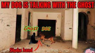 (Ghost vs dog ) TRAILER @vigneshvickyofficial