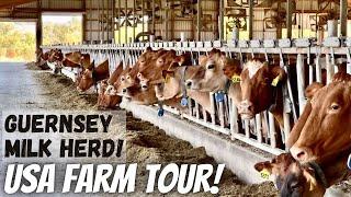 Touring Hoards Dairyman Farm!