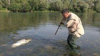 Pecanje pastrmke na varalicu na reci Neretvi BiH | Fishing trout FULL VIDEO