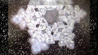 Dr. Masaru Emoto's Water Experiment: Words Are Powerful