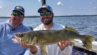 Canadian Walleyes with Bottom Bouncers