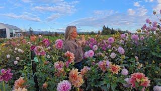 From Nearly Giving Up, to Luxury Blooms For Everyday People! Her Story Will Inspire you! 