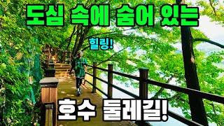 더우니까~ 도심 근교에서 숲길과 호수 길을 찬찬히 걸어 보세요! - 광교저수지 둘레길 트레킹 코스