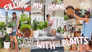 filling my home with PLANTS because it needs LIFE *thrifting + plant shopping!*