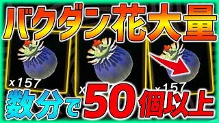 【ティアキン】バクダン花が数分で50個以上集まる最高ルート紹介！【ティアーズオブザキングダム  ガノンドロフ】