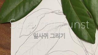 [소소한 이야기가 있는 힐링 드로잉] 잎사귀 그리기 | 독일일상 | 독일풍경 | Healing drawing_leafs