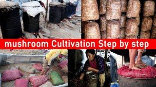 Mushroom Cultivation process in Nepal | How to Start Mushroom Farming in Nepal | Bijaya Sapkota