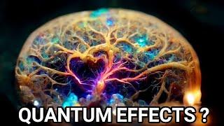 Was Penrose Right? Shocking New Evidence Reveals Quantum Effects in the Brain!