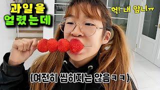 얼린 과일 먹기가 유행이라면서요?! 한번 먹어봤는데... ㅋㅋㅋ 가족 일상 브이로그 vlog - 나다린TV