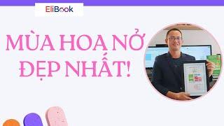 NHNN hạ lãi suất điều hành OMO, thị trường chứng khoán phủ sắc xanh