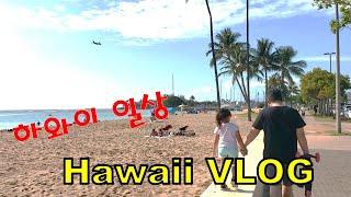 Hawaii VLOG #43 | 미친 하와이 물가 파스타 가격| 집근처 바닷가   알리시아가 콩을 주워 오는 이유 (감동) |미국 하와이 일상 생활