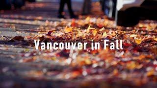 4K: Vancouver in Fall