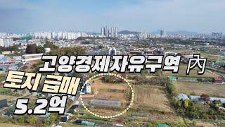 일산서구 덕이동 토지 가격⬇️ 급매가5.2억