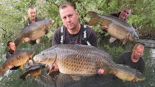 180 - Bluebell Lakes Social 2019. Sandmartin Lake.