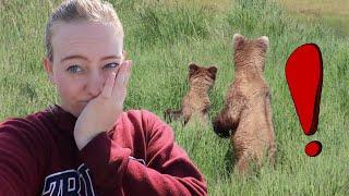 Bear Viewing at Brooks Camp, Alaska | Katmai National Park Vlog