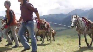 Endangered Jumli Horse Riding at Gotichaur Jumla