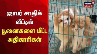 ஜாபர் சாதிக் வீட்டில் பூனைகளை மீட்ட அதிகாரிகள் | Jafar sadik