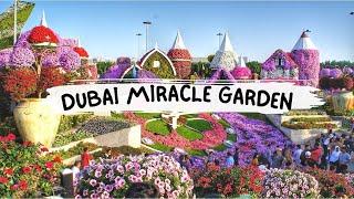 Dubai Miracle Garden 2023 |  Guinness World Records Winner