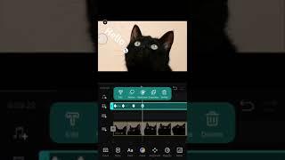 10.Key Frame Animation 丨VN Video Editor App