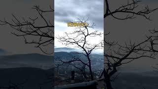 Dehradun in Winters with Satyam Gupta Vlogs #uttarakhand #dehraduntouristplace #travel #dhanaulti