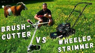 Unveiling the Unexpected: Comparing Brushcutters and Wheeled Strimmers!