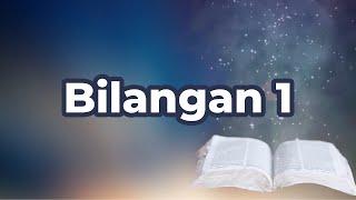 Bilangan 1