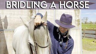 How to put a bridle on a horse (Step by Step Guide) | Umo's Story part 12