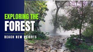 Beautiful Forest View|| Madhya Pradesh Forest Tour|| झिरना सरकार , Shivpuri | Leopard Home #Shivpuri