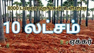 10 லட்சம் ஏக்கர் விவசாய நிலம் விற்பனைக்கு |10 lakhs  Farm land for Sale | GK Housing Properties