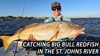 Catching Big Bull Redfish in the St. John's River