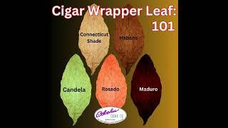 Cigar wrappers leaves explained 2024