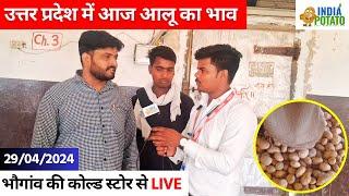 29/04/2024 : उत्तर प्रदेश के आज आलू का भाव | भौगांव की कोल्ड स्टोर से LIVE - India Potato News