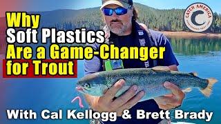 The Secret Bait for Trophy Trout?! Most Anglers Overlook This!