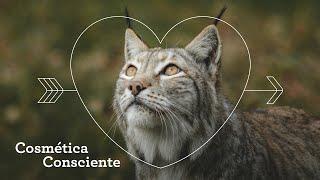 Bálsamo de Lince : Alternativa ecológica al bálsamo de tigre.