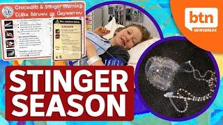 Stinger Season Begins as NT Teenager Survives Irukandji Jellyfish Sting