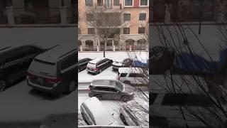 First snow of 2025!-NY#shortsvideo #shortvideo #shorts #short #snow #2025 #first #newyork #nyc