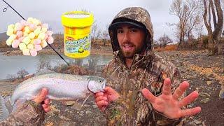 Powerbait Vs. Marshmallow Trout Fishing Catch & Cook!!