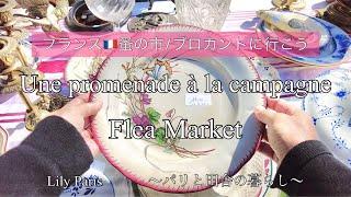 Flea Market in France /フランス蚤の市|小さな街の大きな蚤の市（後編）/サルグミンヌのお皿/ナポレオン３世の周遊記録 #58 【フランス蚤の市/ブロカントに行こう31】