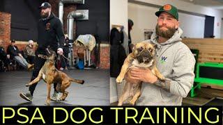 DOG TRAINING & PROTECTION SPORTS DECOYING - The Art of Dog Training | YOLO PUP with Jared Wolf