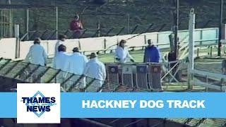 Hackney Dog Track | Thames News